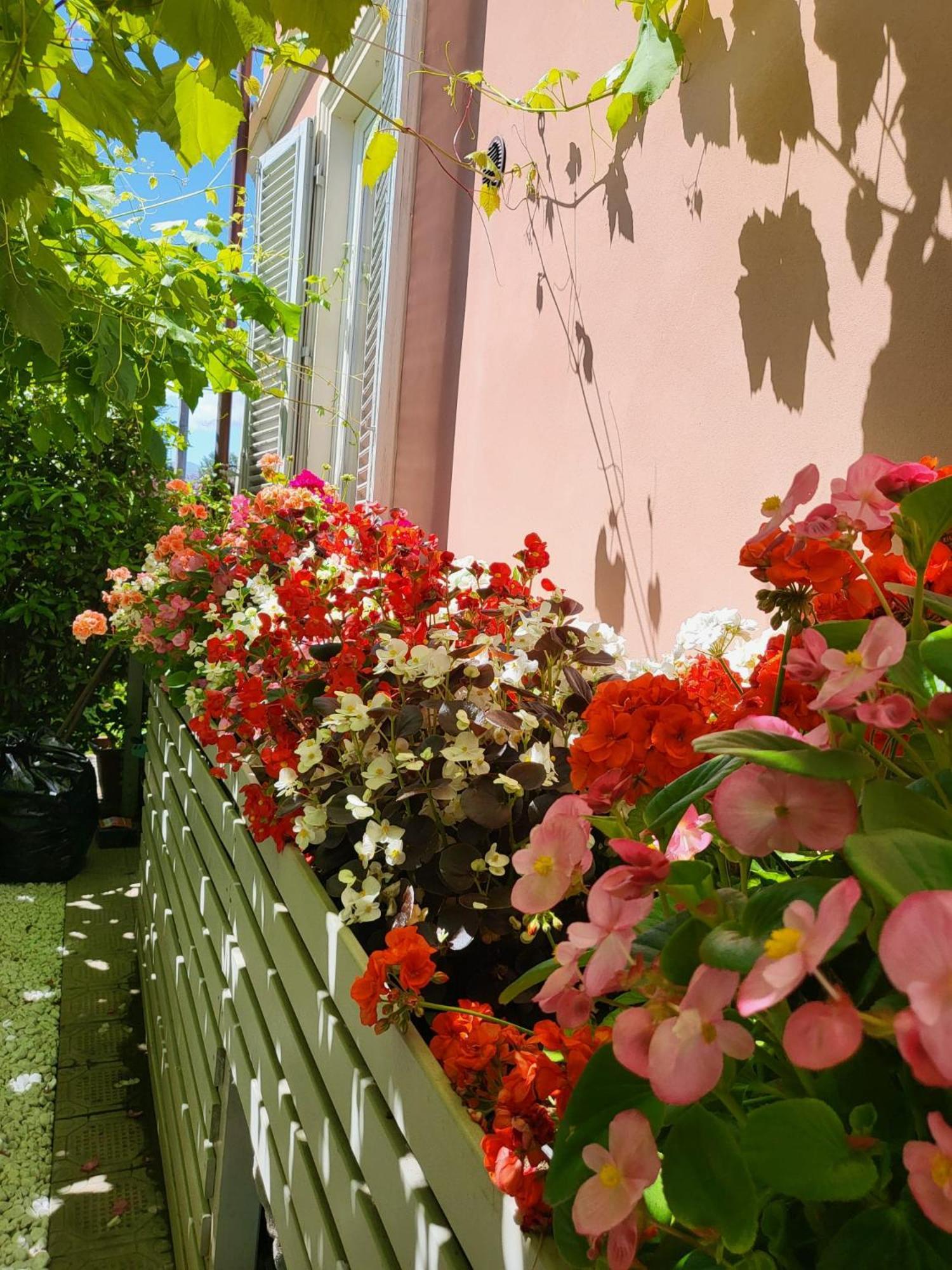 Il Buen Retiro Hotel Lucca Exterior photo