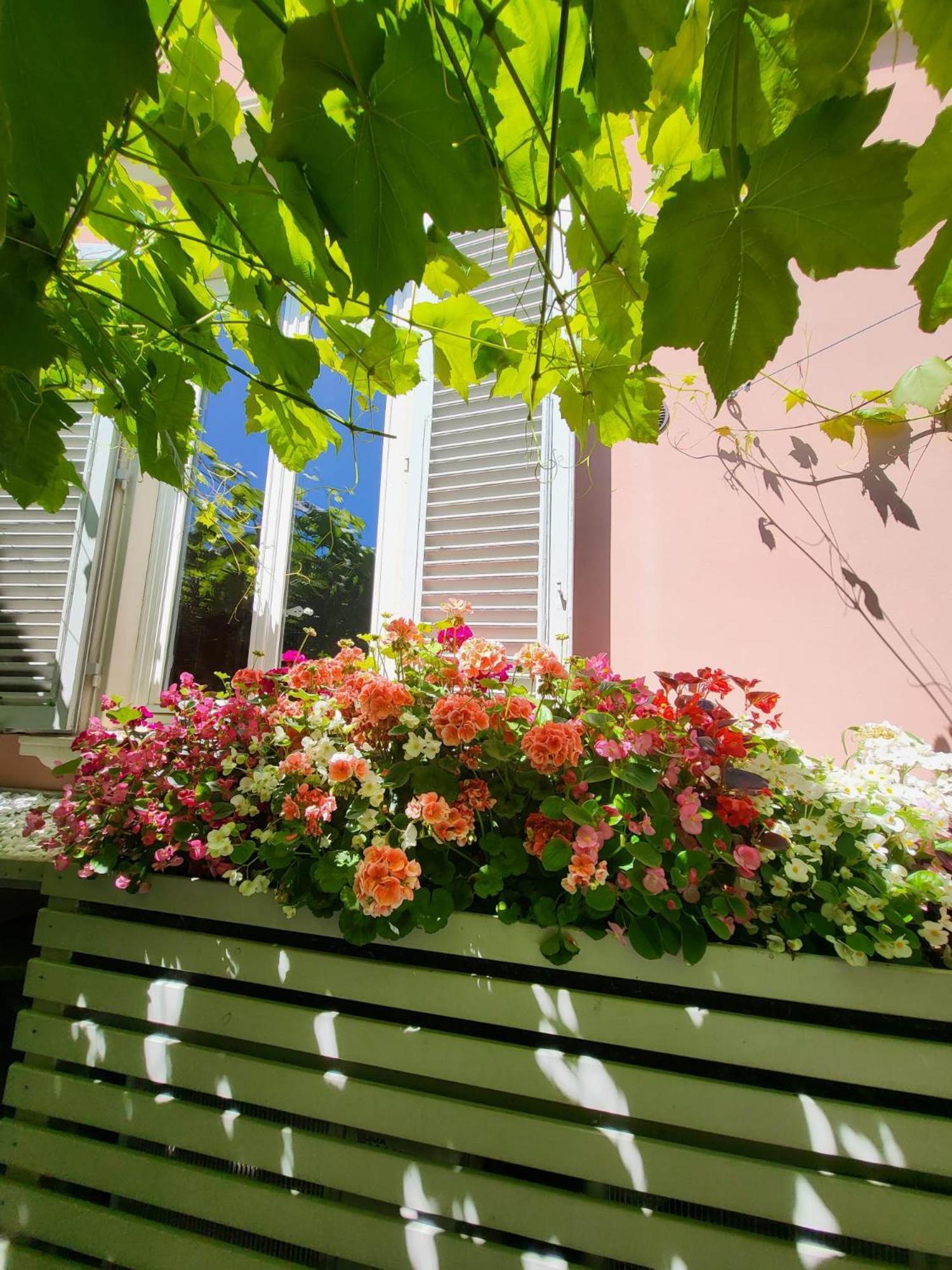 Il Buen Retiro Hotel Lucca Exterior photo