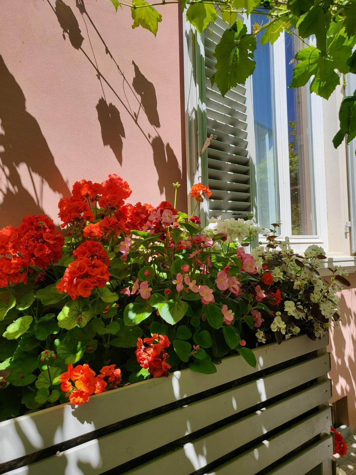 Il Buen Retiro Hotel Lucca Exterior photo