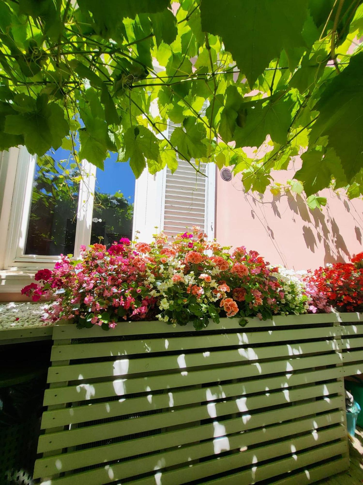 Il Buen Retiro Hotel Lucca Exterior photo